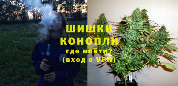 крисы Абдулино