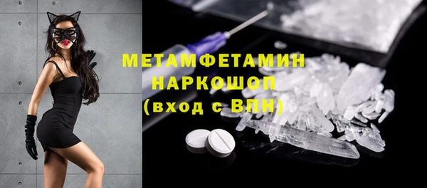 сатива Няндома