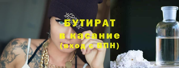 сатива Няндома