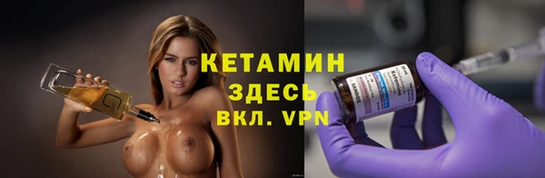 сатива Няндома