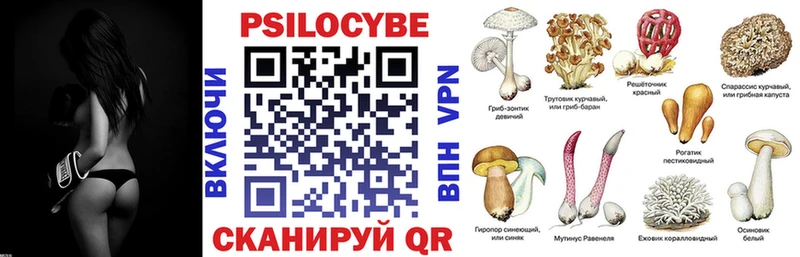 MEGA зеркало  Сорск  Галлюциногенные грибы MAGIC MUSHROOMS 